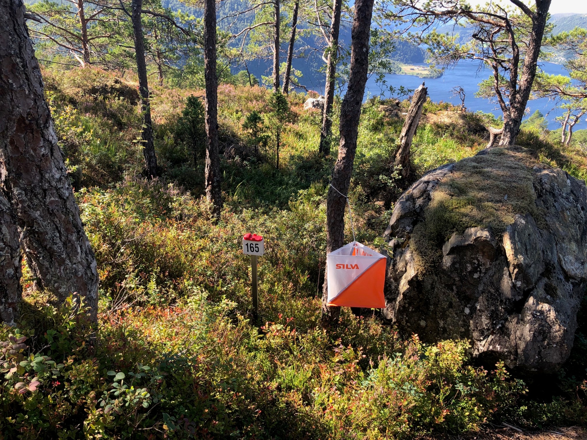 Nærløp Kråkenesmarka 21.8.